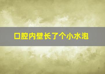 口腔内壁长了个小水泡