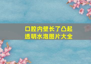 口腔内壁长了凸起透明水泡图片大全