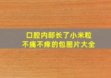 口腔内部长了小米粒不痛不痒的包图片大全