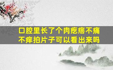 口腔里长了个肉疙瘩不痛不痒拍片子可以看出来吗