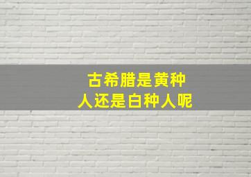 古希腊是黄种人还是白种人呢