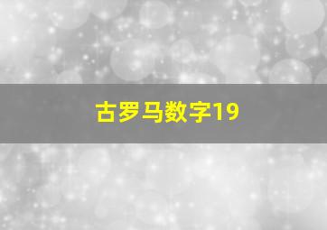 古罗马数字19