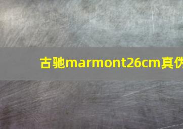 古驰marmont26cm真伪