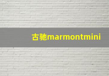 古驰marmontmini