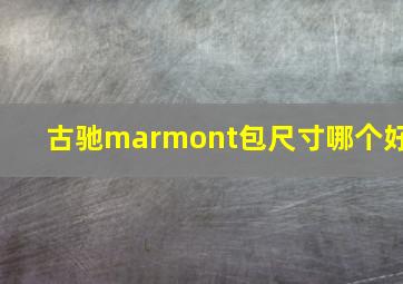 古驰marmont包尺寸哪个好