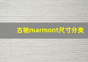 古驰marmont尺寸分类