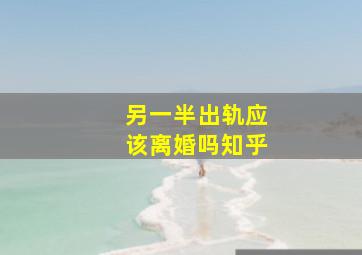 另一半出轨应该离婚吗知乎