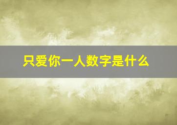 只爱你一人数字是什么