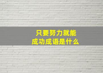 只要努力就能成功成语是什么