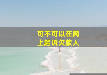 可不可以在网上起诉欠款人