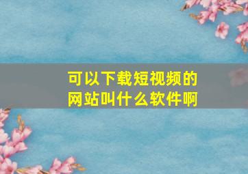 可以下载短视频的网站叫什么软件啊