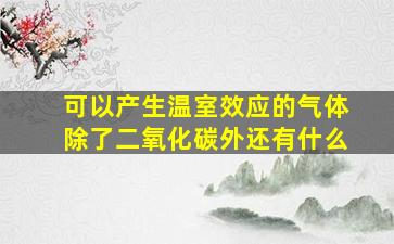 可以产生温室效应的气体除了二氧化碳外还有什么