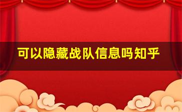 可以隐藏战队信息吗知乎