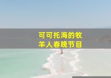 可可托海的牧羊人春晚节目