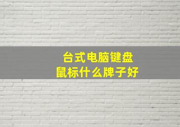 台式电脑键盘鼠标什么牌子好