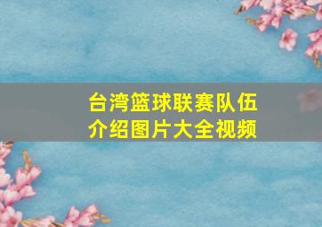 台湾篮球联赛队伍介绍图片大全视频