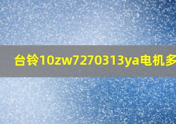 台铃10zw7270313ya电机多少瓦