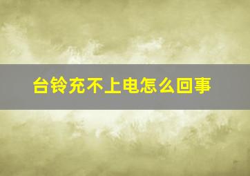 台铃充不上电怎么回事