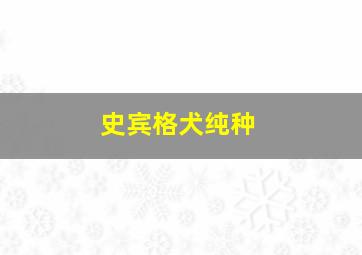 史宾格犬纯种