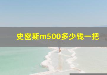 史密斯m500多少钱一把