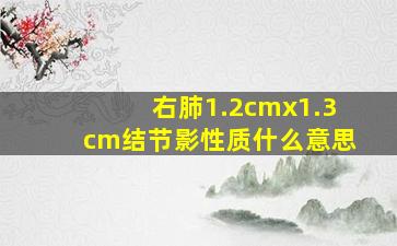 右肺1.2cmx1.3cm结节影性质什么意思