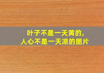 叶子不是一天黄的,人心不是一天凉的图片