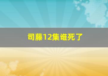 司藤12集谁死了