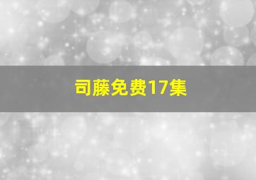 司藤免费17集