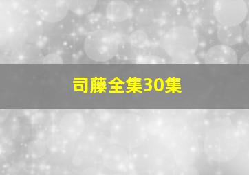 司藤全集30集