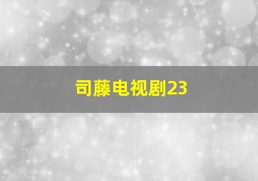 司藤电视剧23