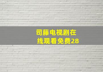 司藤电视剧在线观看免费28