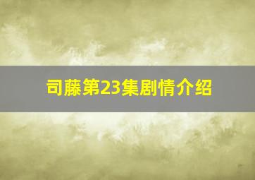 司藤第23集剧情介绍