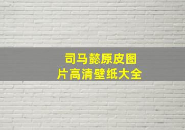 司马懿原皮图片高清壁纸大全