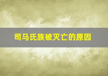 司马氏族被灭亡的原因