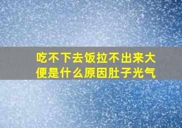 吃不下去饭拉不出来大便是什么原因肚子光气