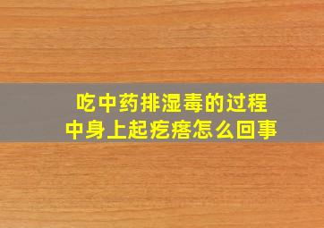 吃中药排湿毒的过程中身上起疙瘩怎么回事