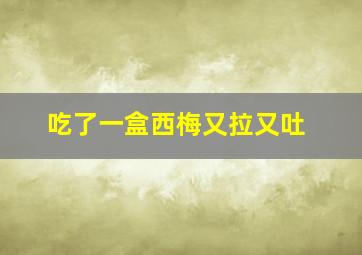 吃了一盒西梅又拉又吐