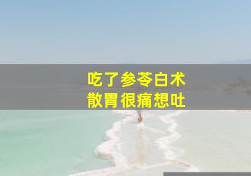 吃了参苓白术散胃很痛想吐