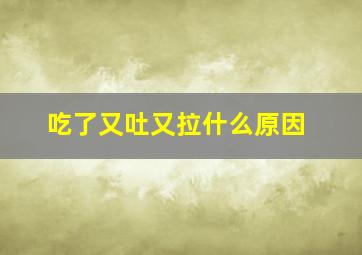 吃了又吐又拉什么原因