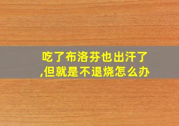 吃了布洛芬也出汗了,但就是不退烧怎么办