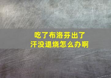 吃了布洛芬出了汗没退烧怎么办啊