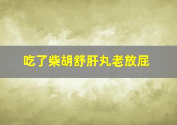 吃了柴胡舒肝丸老放屁