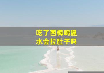 吃了西梅喝温水会拉肚子吗