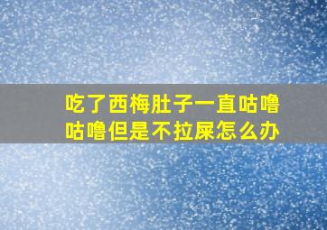 吃了西梅肚子一直咕噜咕噜但是不拉屎怎么办