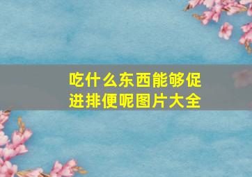 吃什么东西能够促进排便呢图片大全