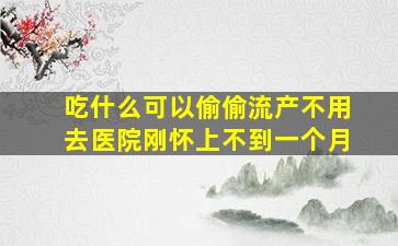 吃什么可以偷偷流产不用去医院刚怀上不到一个月