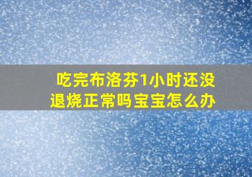 吃完布洛芬1小时还没退烧正常吗宝宝怎么办