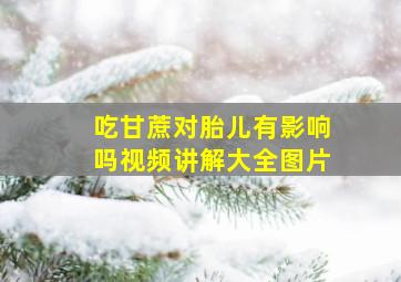 吃甘蔗对胎儿有影响吗视频讲解大全图片