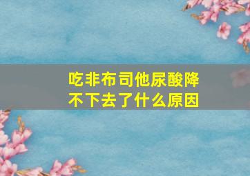 吃非布司他尿酸降不下去了什么原因