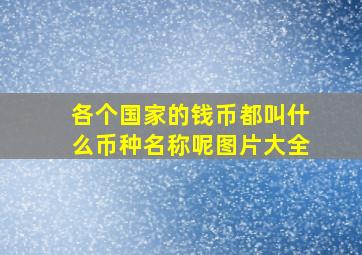 各个国家的钱币都叫什么币种名称呢图片大全